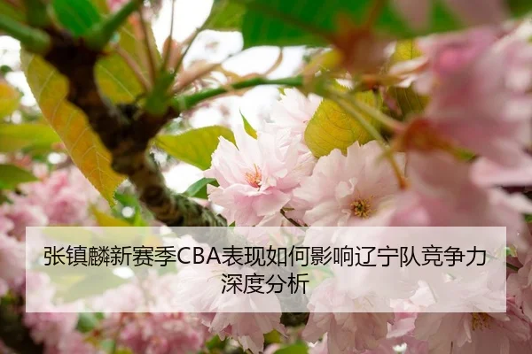 张镇麟新赛季CBA表现如何影响辽宁队竞争力深度分析